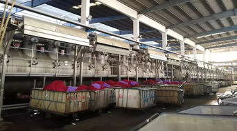 智能化與個性化是國產印染機械發(fā)展大趨勢