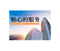 構(gòu)建高效產(chǎn)品庫 企業(yè)管理咨詢的核心策略與實(shí)踐